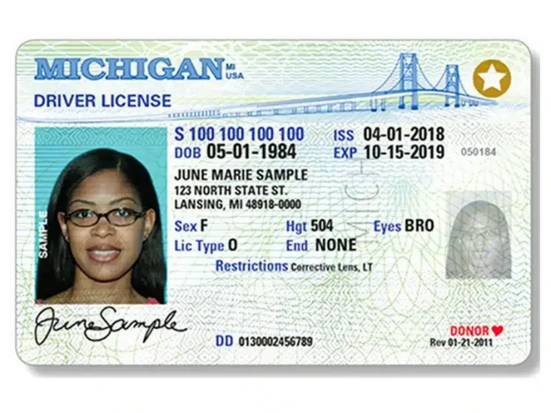 Bill introduced to enable digital licenses, Benson calls it a priority ...